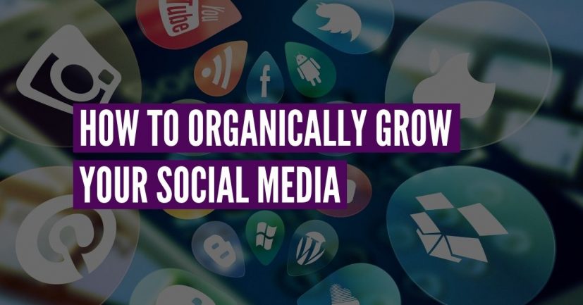 How to Grow Social Media Followers Organically - Edmonton Social Media ...