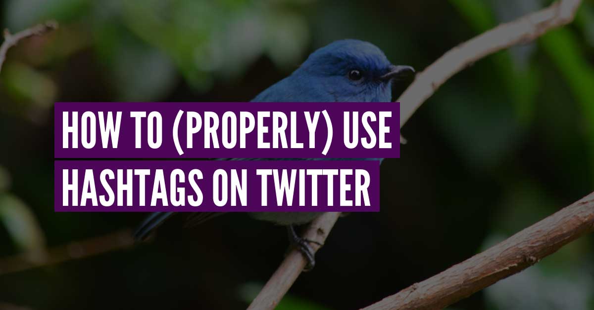 How to use hashtags on Twitter for local businesses - Edmonton Social ...